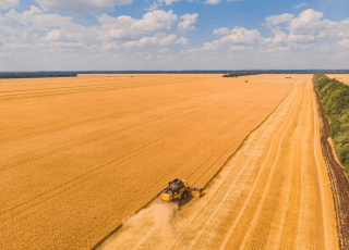 Setor agropecuário brasileiro deve crescer 11,5% e alcançar R$ 1,4 trilhão