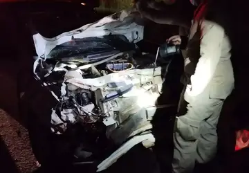 Motorista atropela anta na BR-060, carro fica destruído e homem sai ileso