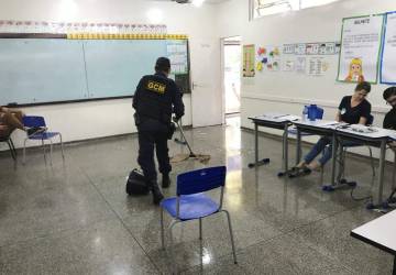 Formigas saúvas invadem local de votação em escola municipal