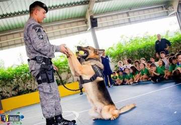 Morre Lion, cão farejador do Batalhão de Choque