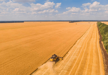 Setor agropecuário brasileiro deve crescer 11,5% e alcançar R$ 1,4 trilhão