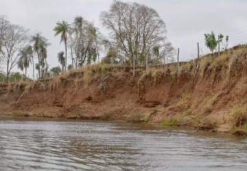 Só 23% dos R$ 400 mil em multas por desmatamento em margem dos rios foram pagos