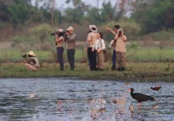 Em março, Cine Aves realiza passarinhada para lançar mais um festival