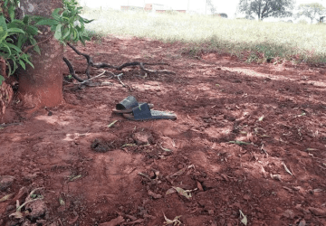 Em decomposição, corpo com tatuagens nas costas é achado em fazenda