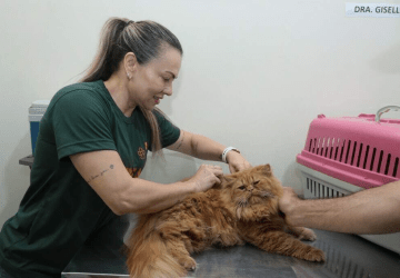 Plantão com 200 vagas vai castrar cães e gatos do Jardim Noroeste