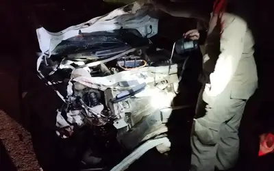 Motorista atropela anta na BR-060, carro fica destruído e homem sai ileso