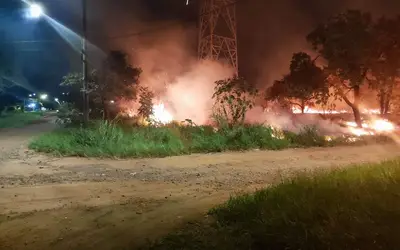 Chamas se alastram em vegetação durante incêndio no Itamaracá