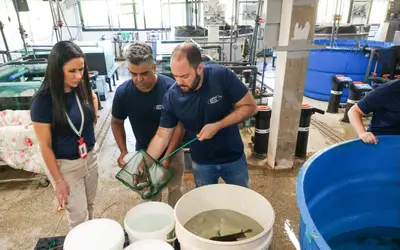 Peixes doados pelo Aquário de Bonito são transferidos aos tanques do Bioparque