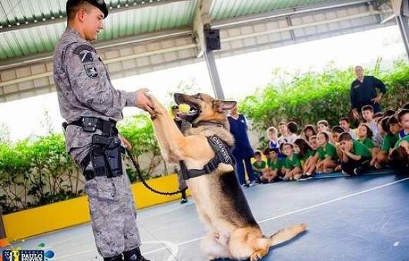 Morre Lion, cão farejador do Batalhão de Choque