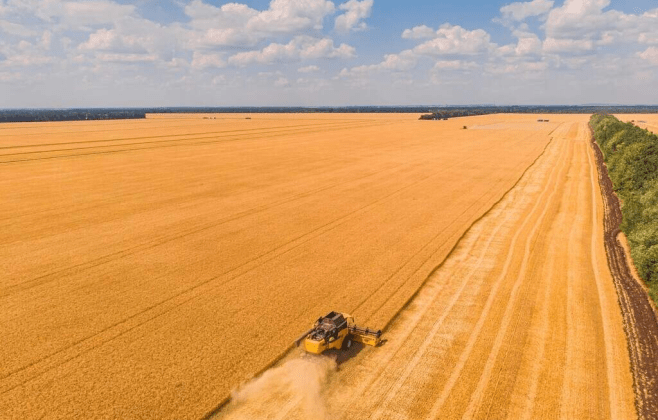 Setor agropecuário brasileiro deve crescer 11,5% e alcançar R$ 1,4 trilhão