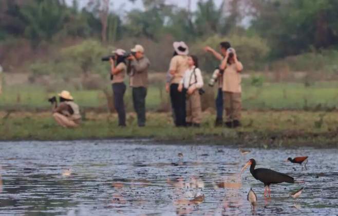 Em março, Cine Aves realiza passarinhada para lançar mais um festival